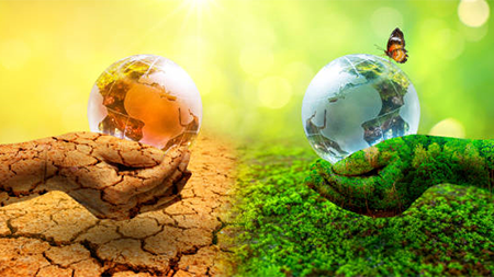 Cambio Climático y Educación Sustentable 2025-02