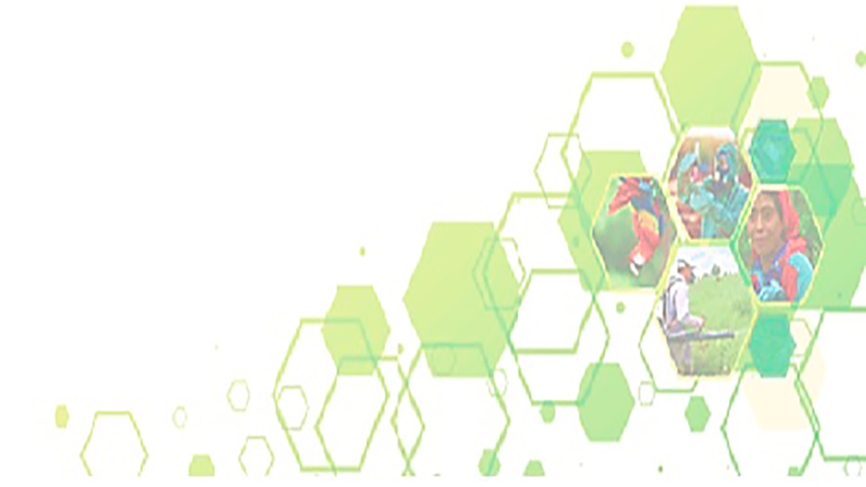 Curso de Implementación de la Guía Metodológica Sobre Gestión Ambientalmente Racional de Productos Químicos 2026-01