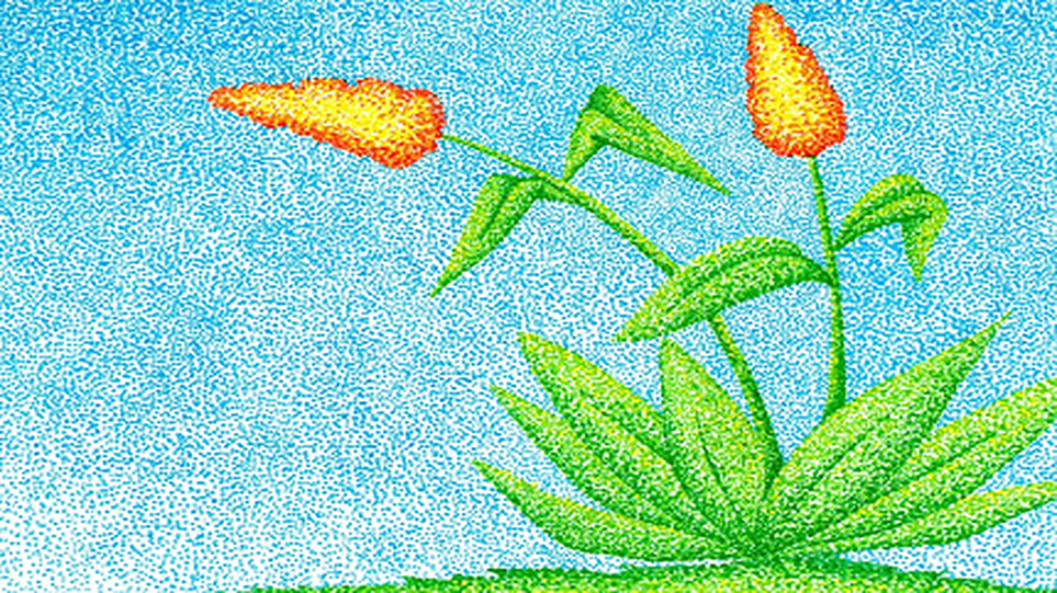 Promovamos la Lectoescritura a través de las Artes Plásticas M-II 2026-01