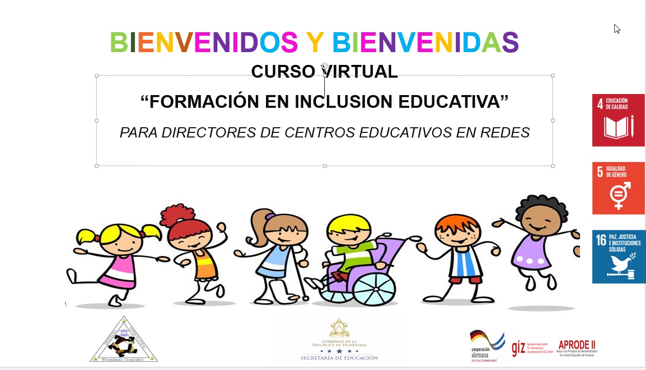 “Curso Básico sobre Inclusión Educativa de Estudiantes con Discapacidad"
